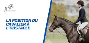 Lire la suite à propos de l’article La position du cavalier à l’obstacle – La maîtrise des aides