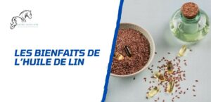 Lire la suite à propos de l’article Les bienfaits de l’huile de lin pour le cheval