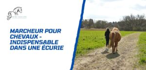Lire la suite à propos de l’article Le marcheur pour chevaux, indispensable dans une écurie