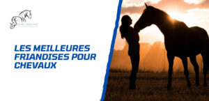 Lire la suite à propos de l’article Les meilleures friandises à donner à son cheval