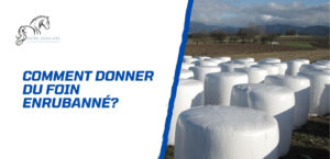 Lire la suite à propos de l’article Pourquoi et comment donner du foin enrubanné à un cheval?