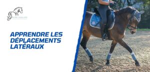 Lire la suite à propos de l’article Comment apprendre les déplacements latéraux à son cheval?