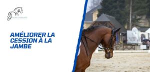 Lire la suite à propos de l’article Améliorer la cession à la jambe – Les erreurs à ne pas faire