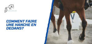 Lire la suite à propos de l’article Comment faire la hanche en dedans avec son cheval?