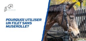 Lire la suite à propos de l’article Pourquoi choisir un filet sans muserolle?