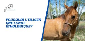 Lire la suite à propos de l’article Pourquoi utiliser une longe éthologique avec son cheval?