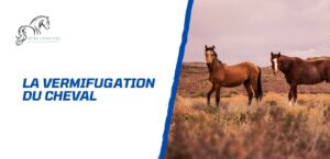 Lire la suite à propos de l’article La vermifugation du cheval – Guide du propriétaire prudent