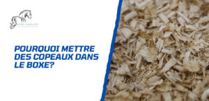 Lire la suite à propos de l’article Pourquoi des copeaux de bois dans le boxe des chevaux?
