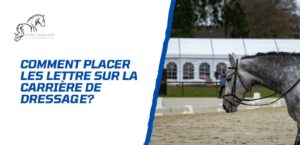 Lire la suite à propos de l’article La carrière de dressage: Comment placer les lettres?