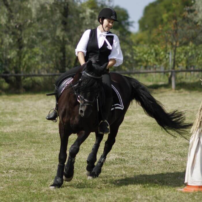 changement de pied cheval