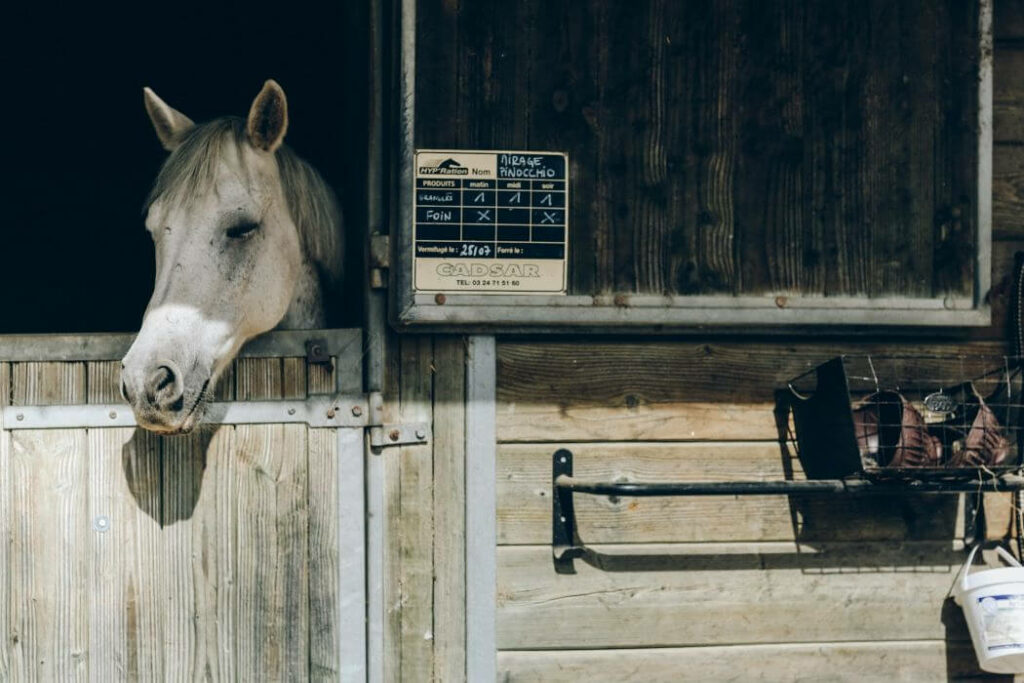 écurie propriétaire cheval