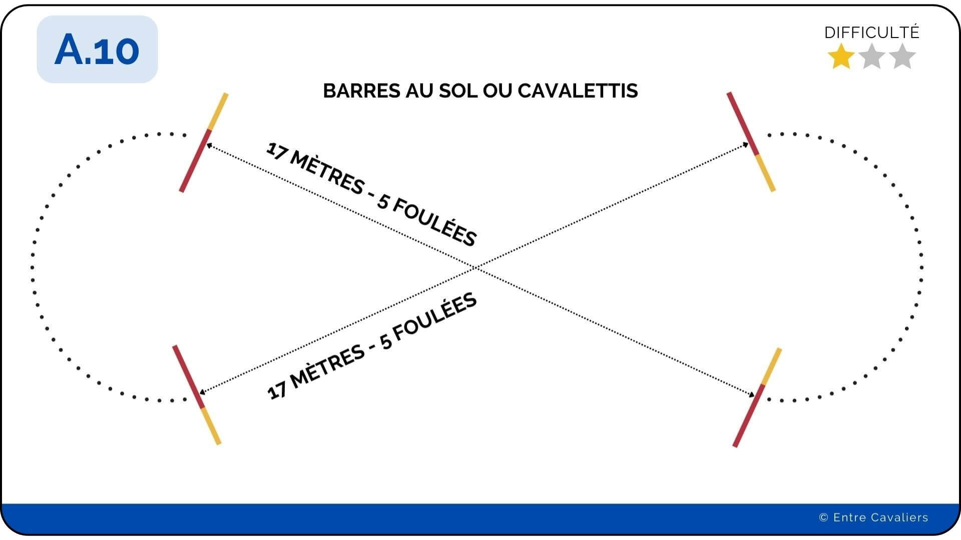 Quelles distances entre les barres au sol au trot et au galop?