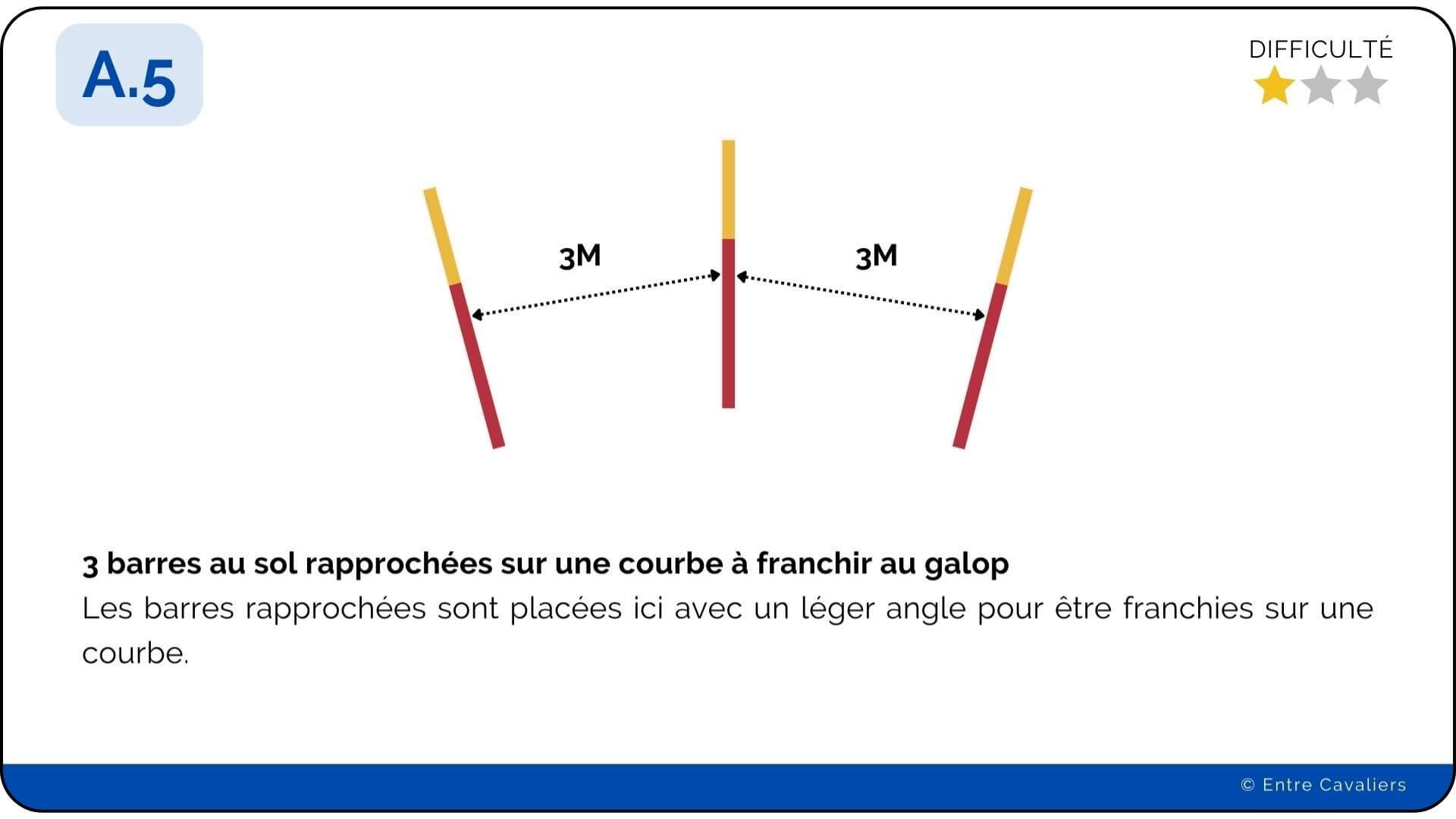 Quelles distances entre les barres au sol au trot et au galop?