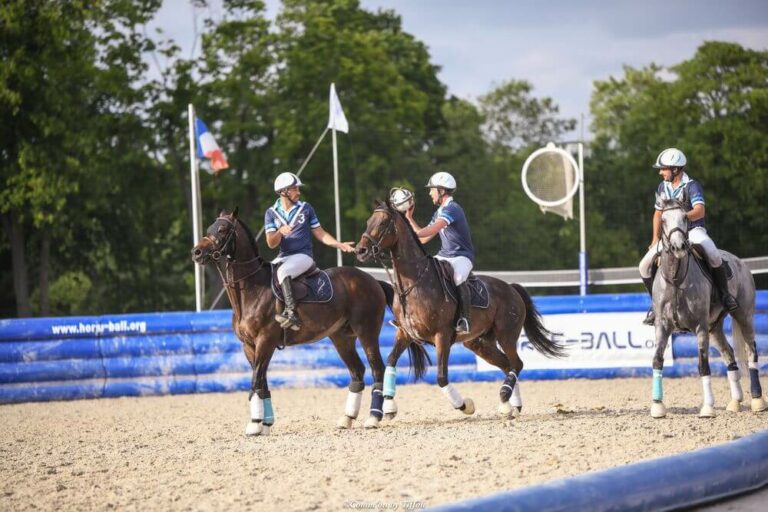 Plongée au cœur du horse ball - Un sport d'équipe à cheval