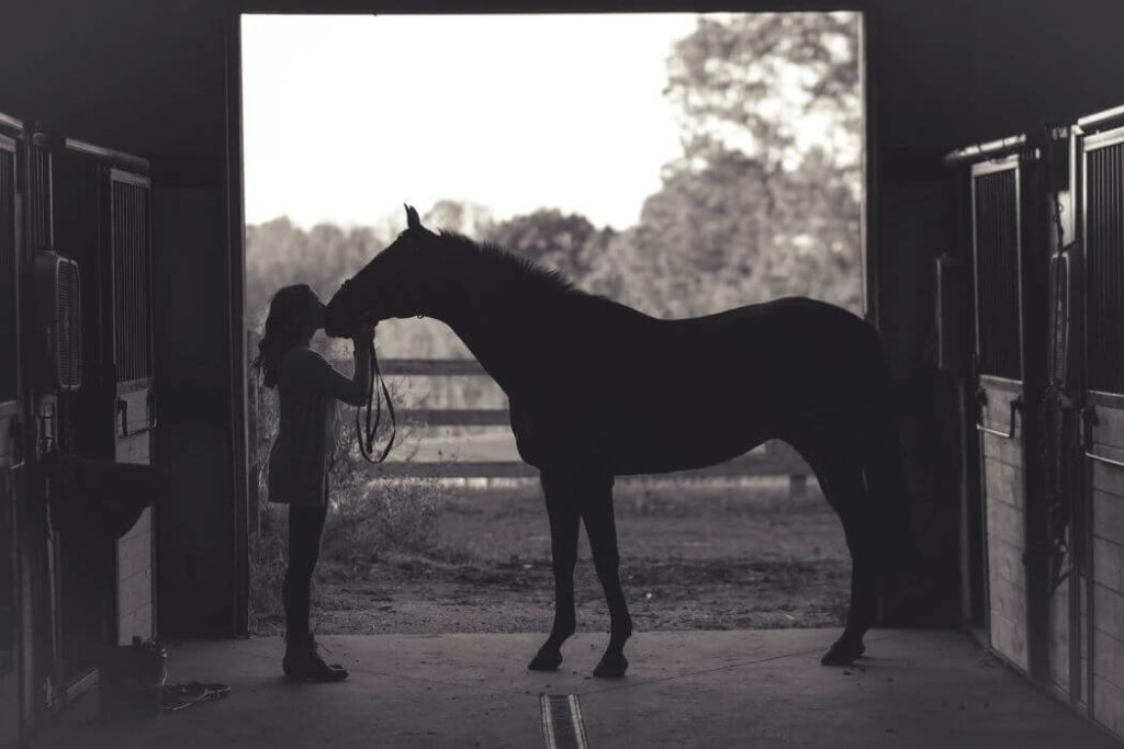 massage cheval