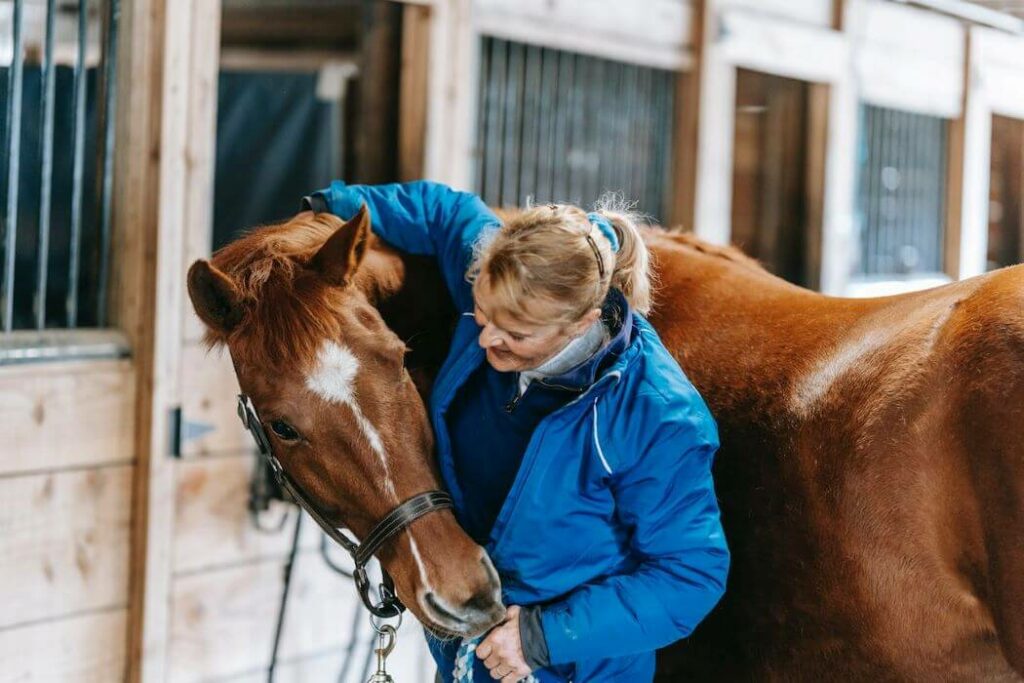 massage chevaux