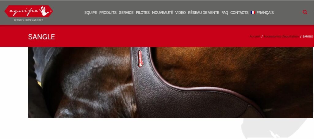 sangle cuir cheval Equipe