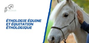 Lire la suite à propos de l’article Ethologie équine et équitation éthologique – Comprendre la nature du cheval