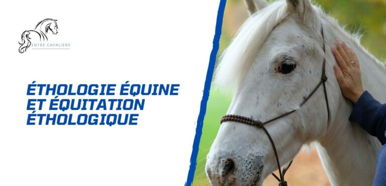 Lire la suite à propos de l’article Ethologie équine et équitation éthologique – Comprendre la nature du cheval