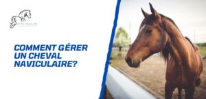 Lire la suite à propos de l’article Comment gérer un cheval naviculaire? Tout savoir sur le syndrome naviculaire