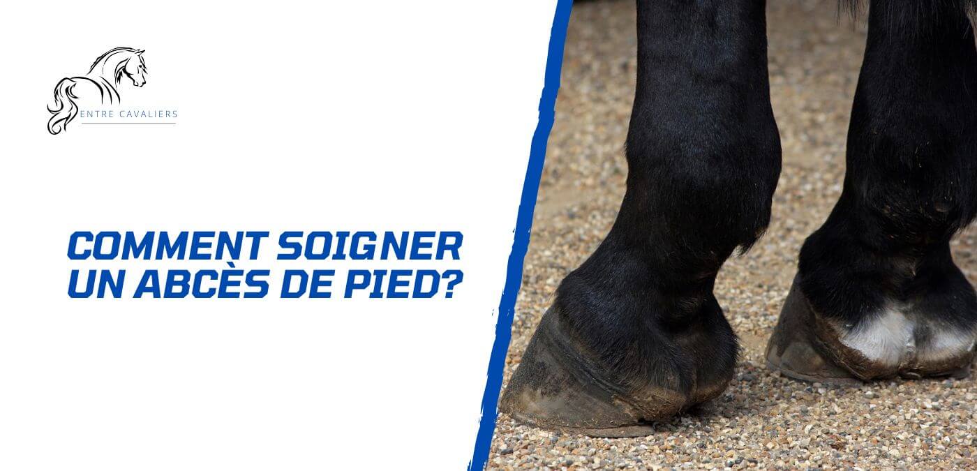 You are currently viewing Comment soigner un abcès de pied chez le cheval?