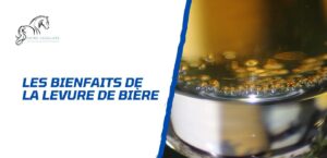 Lire la suite à propos de l’article Les bienfaits de la levure de bière pour les chevaux