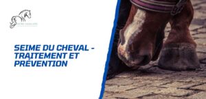 Lire la suite à propos de l’article La seime chez le cheval – Comment l’éviter?