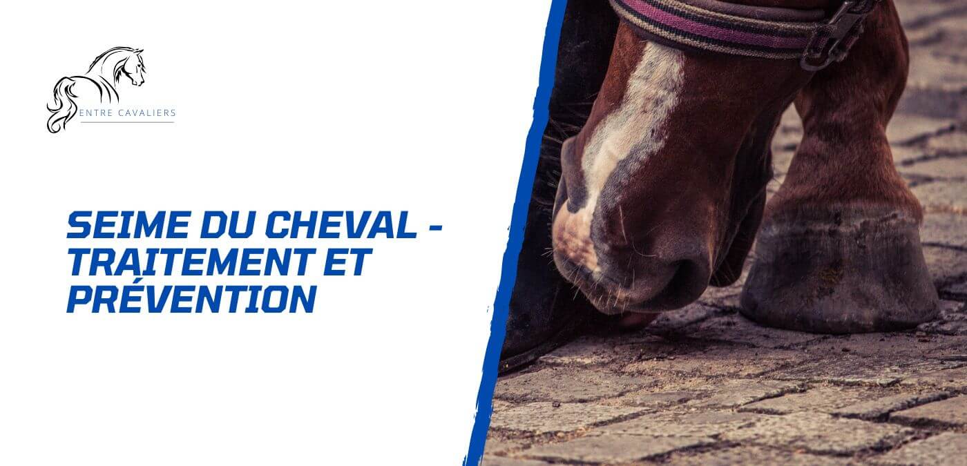 You are currently viewing La seime chez le cheval – Comment l’éviter?