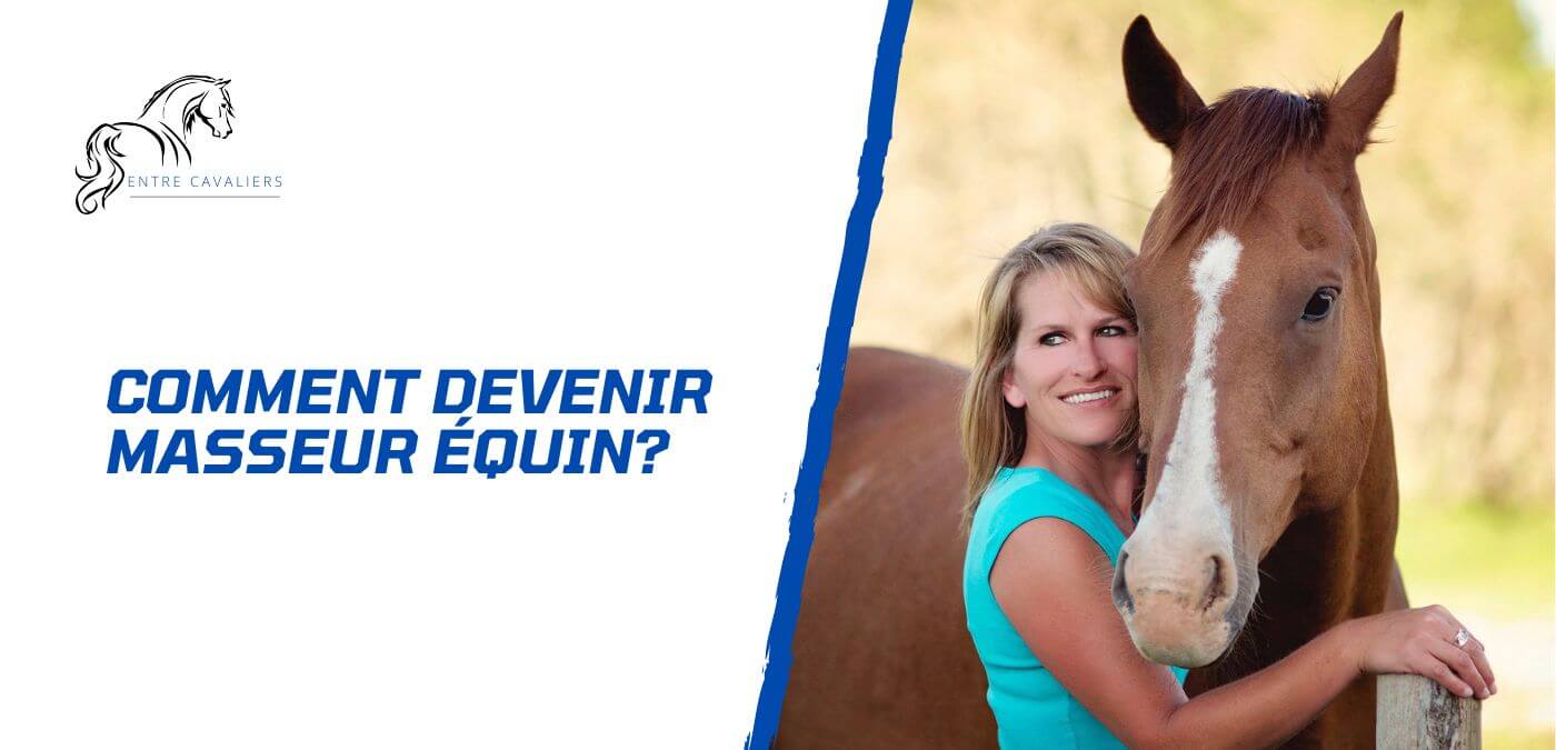 You are currently viewing Comment devenir masseur équin – Au Cœur du bien-être des chevaux