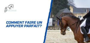 Lire la suite à propos de l’article Comment faire un appuyer parfait avec son cheval?