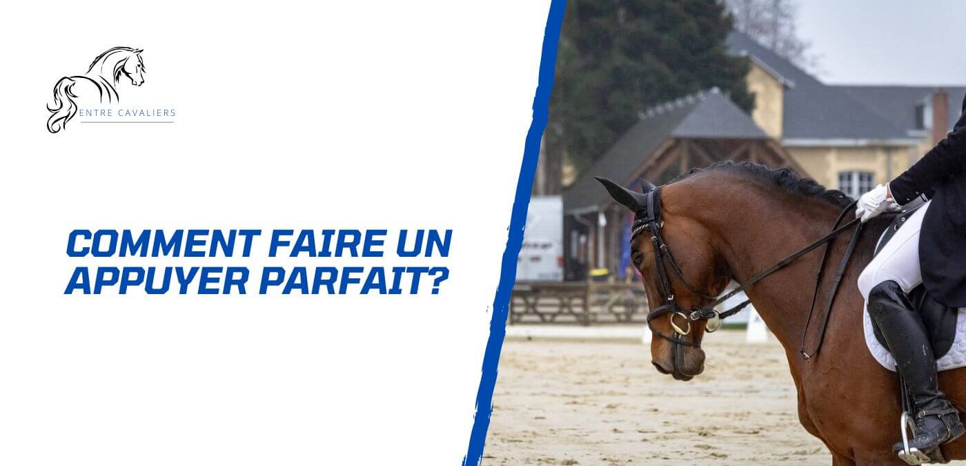 You are currently viewing Comment faire un appuyer parfait avec son cheval?