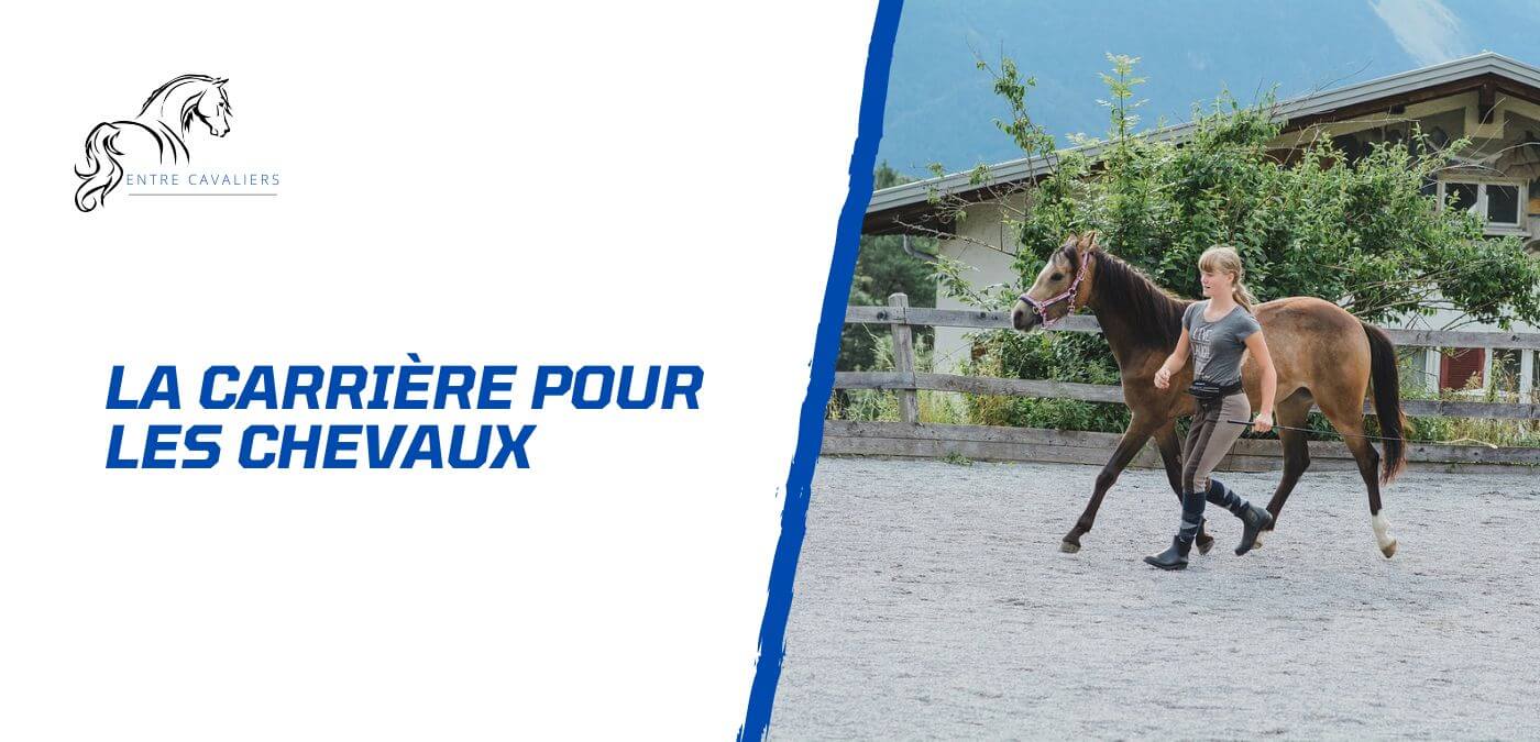 You are currently viewing La carrière pour chevaux – Entre passion et professionnalisme