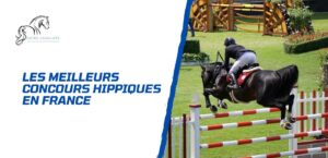 Lire la suite à propos de l’article Les meilleurs concours hippiques français de l’année