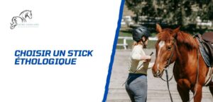 Lire la suite à propos de l’article Comment choisir un stick éthologique?