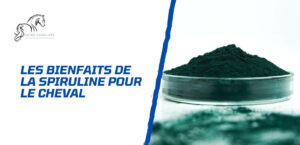 Lire la suite à propos de l’article Les bienfaits de la spiruline pour le cheval