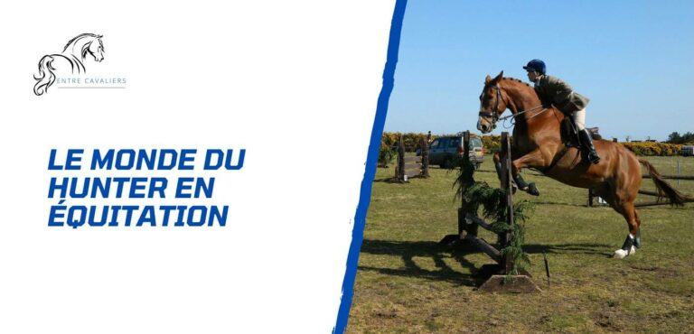 Lire la suite à propos de l’article Le monde du hunter en équitation – Art, tradition et technique