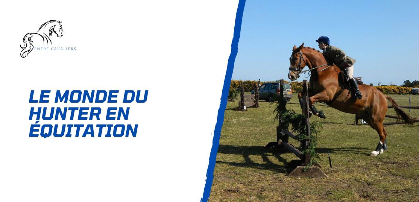 You are currently viewing Le monde du hunter en équitation – Art, tradition et technique