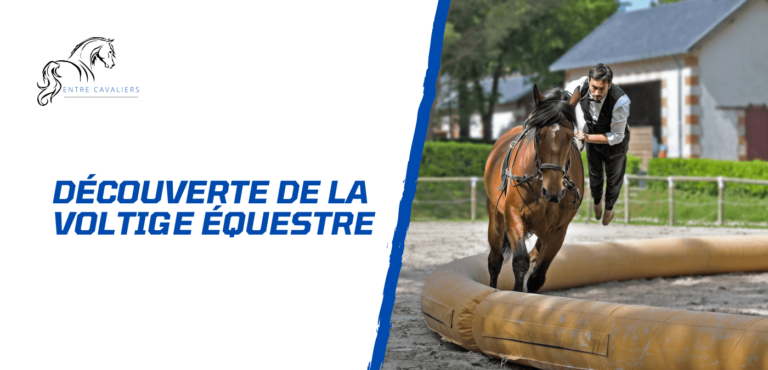 Lire la suite à propos de l’article La voltige équestre – Danse aérienne sur le cheval