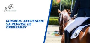 Lire la suite à propos de l’article La reprise de dressage – Comment l’apprendre et l’exécuter facilement?