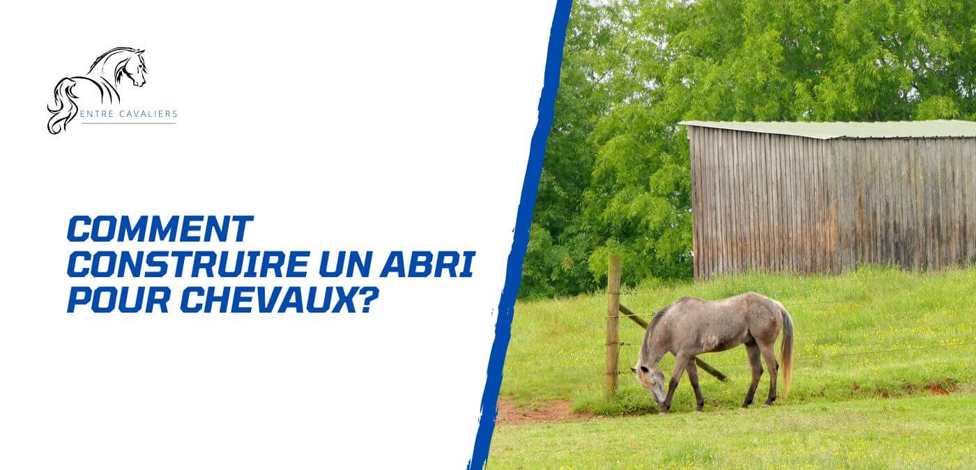 You are currently viewing Pourquoi et comment construire un abri pour chevaux?