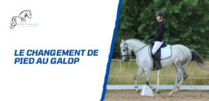 Lire la suite à propos de l’article Comment apprendre le changement de pied au galop à un cheval?