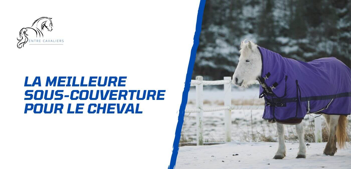 You are currently viewing Choisir la meilleure sous-couverture pour son cheval