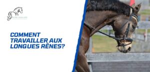 Lire la suite à propos de l’article Comment travailler un cheval aux longues rênes? Guide pratique