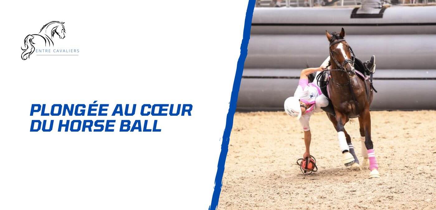 You are currently viewing Plongée au cœur du horse ball – Un sport d’équipe à cheval