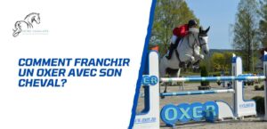 Lire la suite à propos de l’article Comment franchir un oxer avec son cheval? Exercices pratiques pour cavaliers