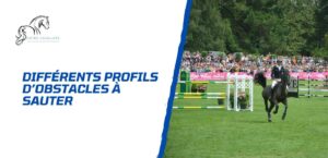 Lire la suite à propos de l’article Les différents profils d’obstacles à franchir avec son cheval