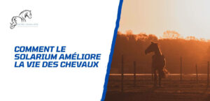 Lire la suite à propos de l’article Comment le solarium améliore la vie des chevaux