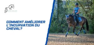 Lire la suite à propos de l’article Comment améliorer l’incurvation de son cheval?