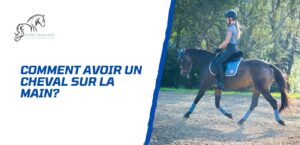 Lire la suite à propos de l’article Comment avoir un cheval sur la main? Conseils d’experts