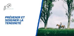 Lire la suite à propos de l’article Comment prévenir et guérir une tendinite chez le cheval?